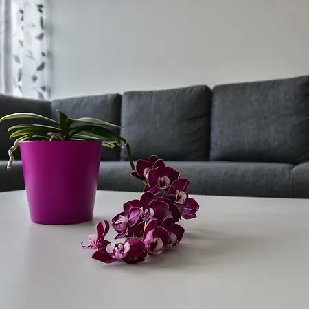 Mardi Downtown Appartement *