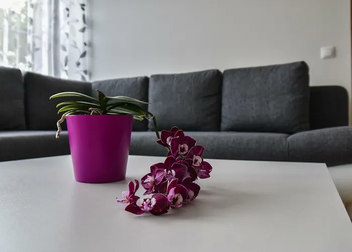 Mardi Downtown Apartament *